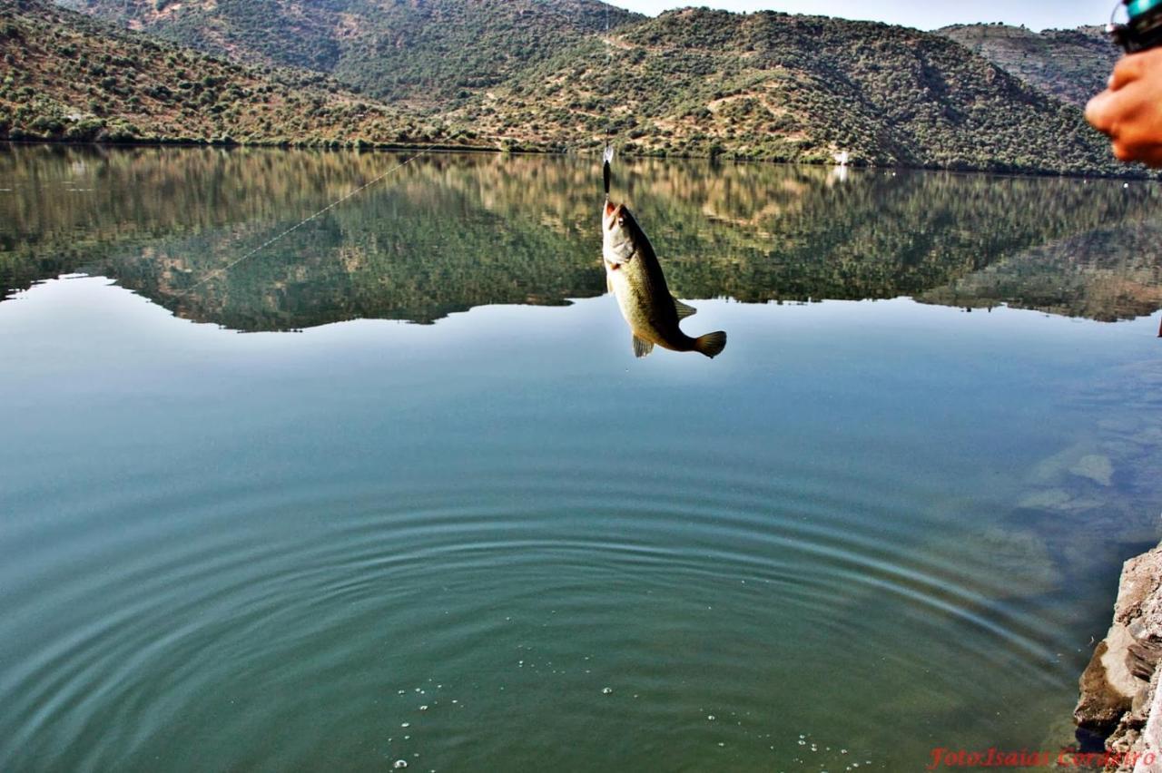 Moradias Do Douro Internacional Villa Freixo de Espada à Cinta Dış mekan fotoğraf