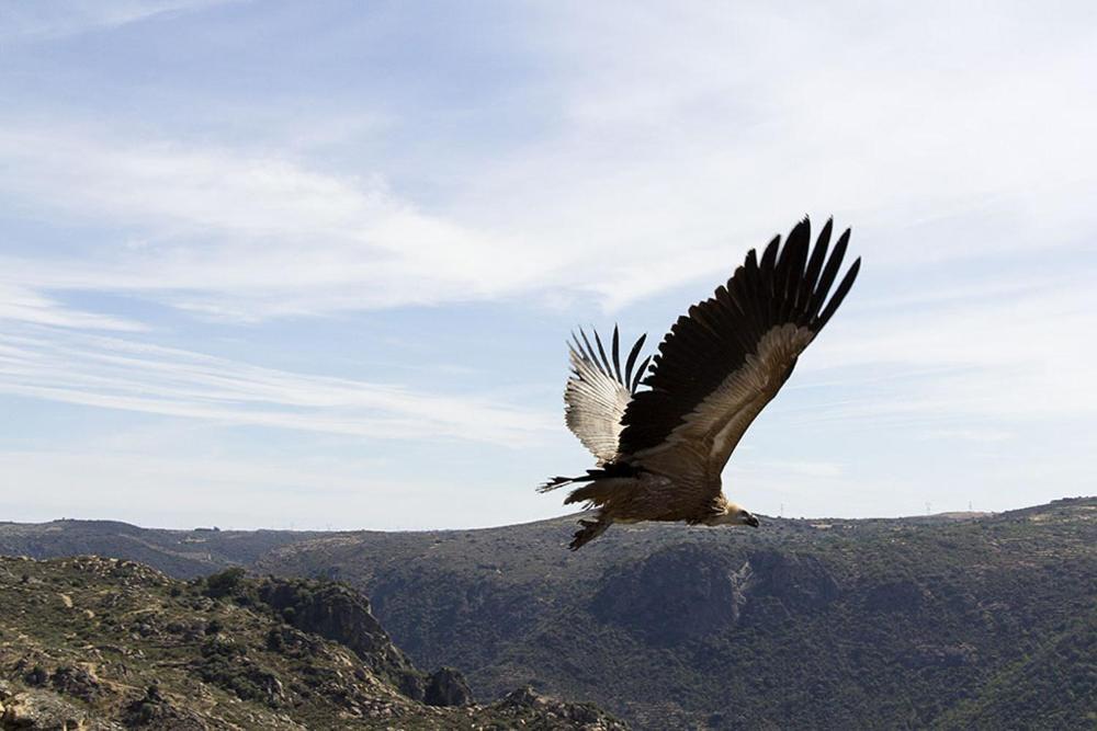 Moradias Do Douro Internacional Villa Freixo de Espada à Cinta Dış mekan fotoğraf