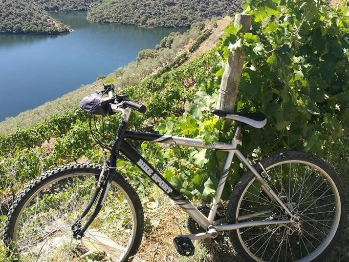 Moradias Do Douro Internacional Villa Freixo de Espada à Cinta Dış mekan fotoğraf